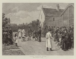 Jugement des chiots de foxhound - Godfrey Douglas Giles